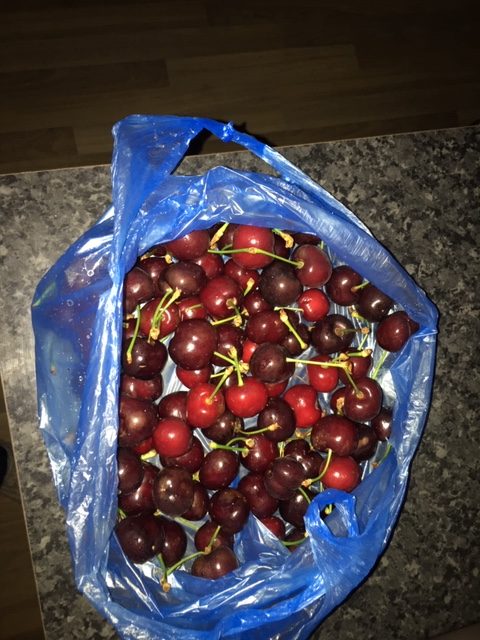 Cherries from Priseltsi