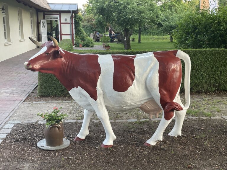 Svetlina Juni/July/August 2025