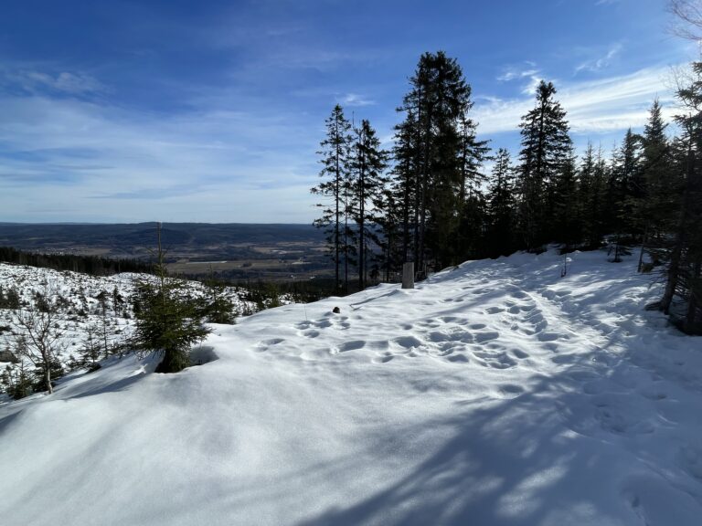 Flott tur opp til Misberget i dag :-)